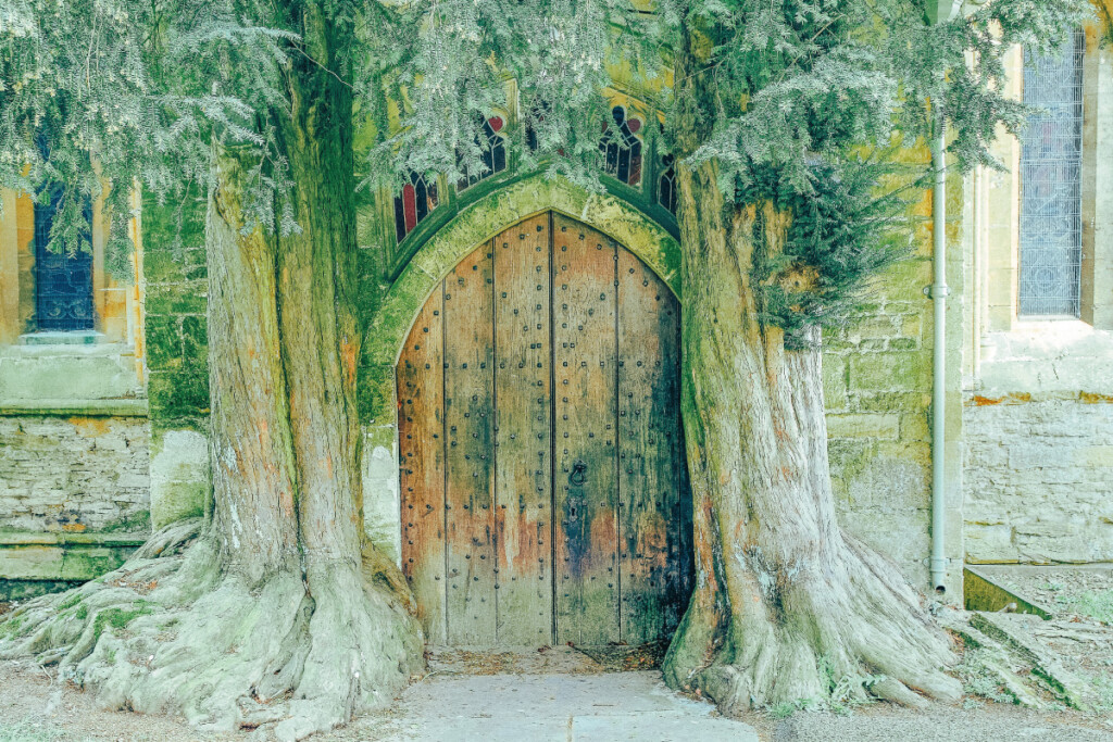 扉がイチイの木に覆われたセント・エドワード教会
