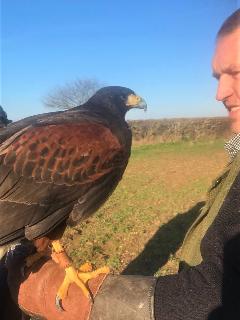 イギリス田舎暮らし　鷹を飛ばす人