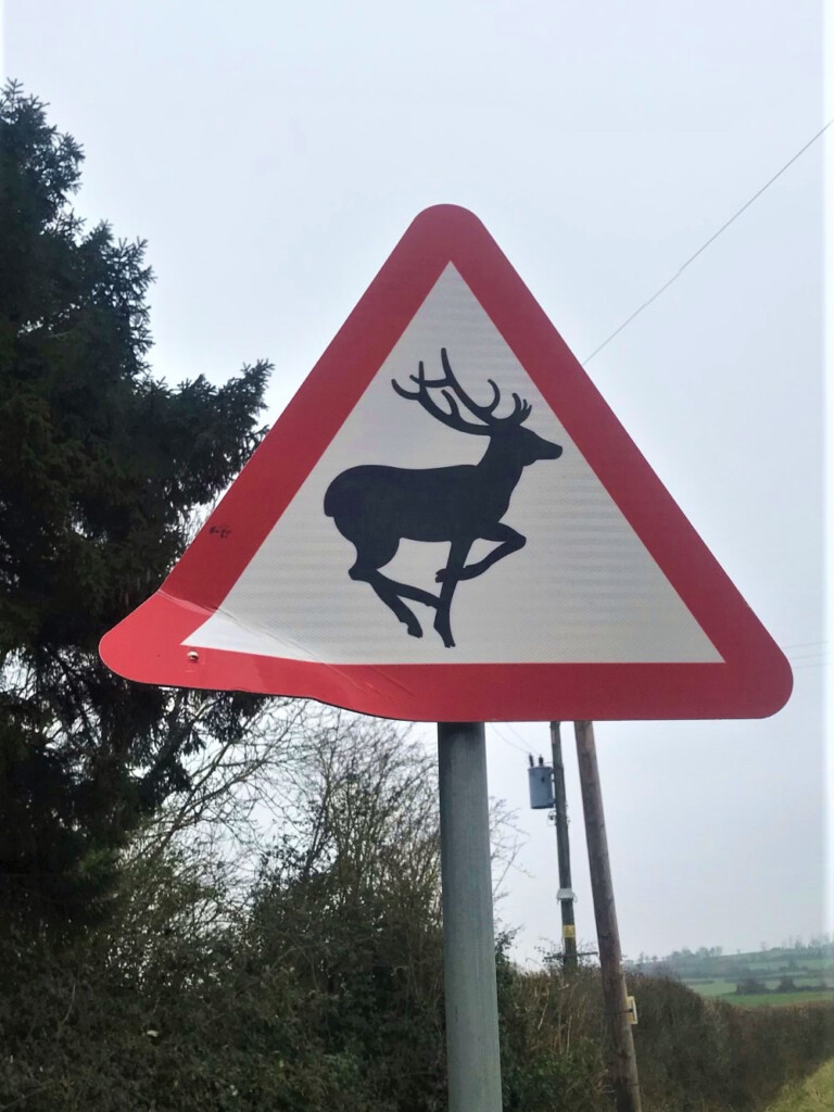 イギリス田舎暮らし　鹿に注意の標識