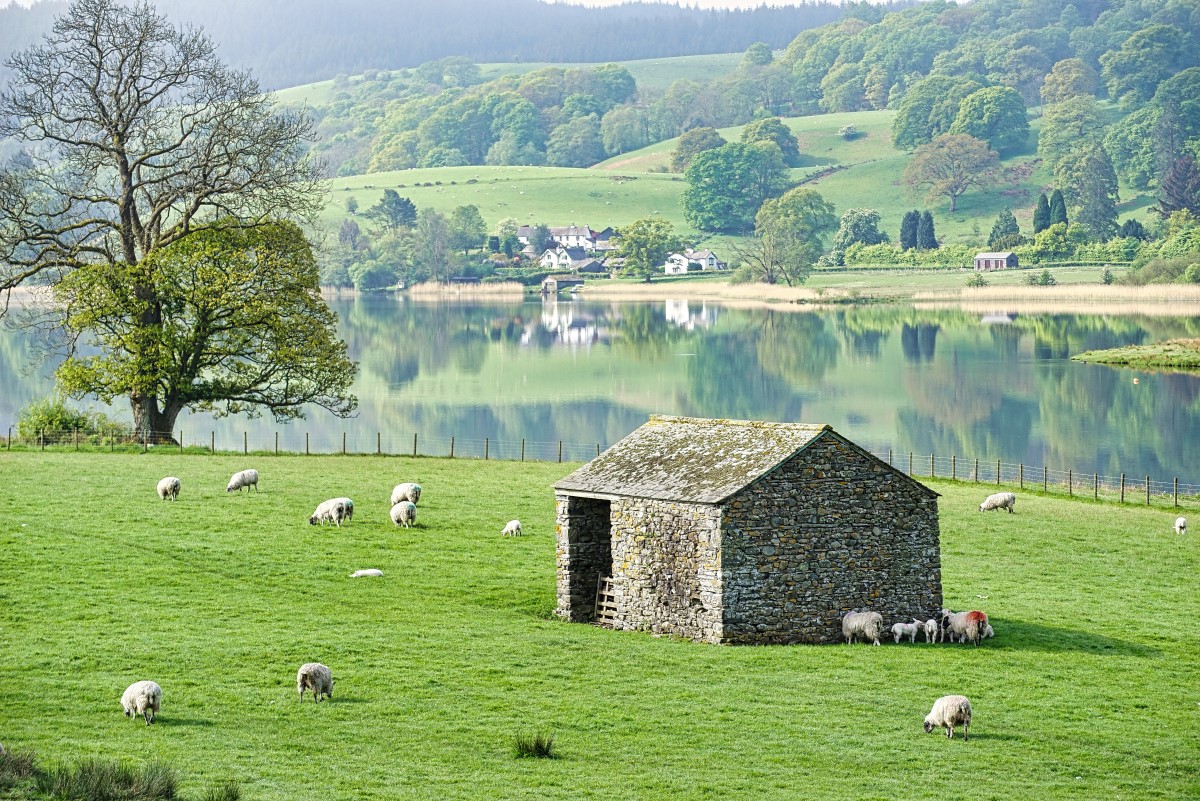 写真で巡るイギリスの旅～ビアトリクス・ポターが残した景色・湖水地方～