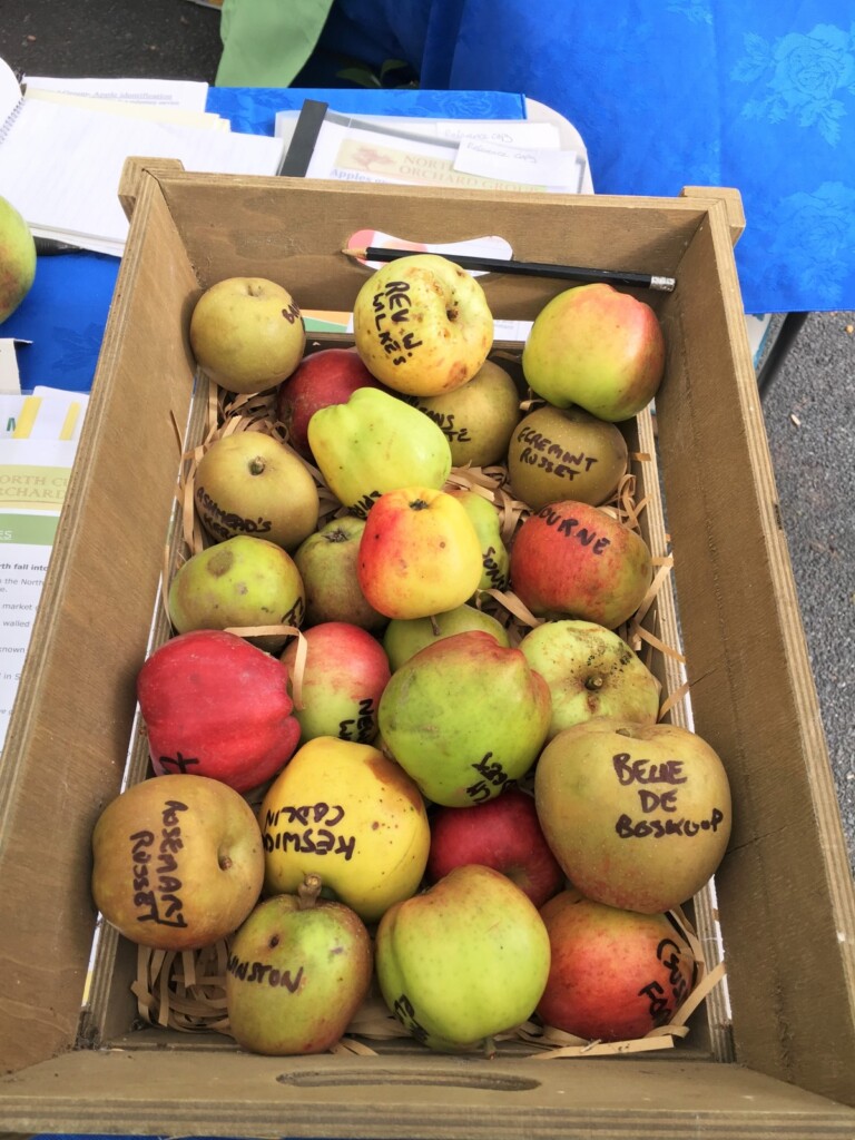 木箱に入った品種名が書かれたリンゴ