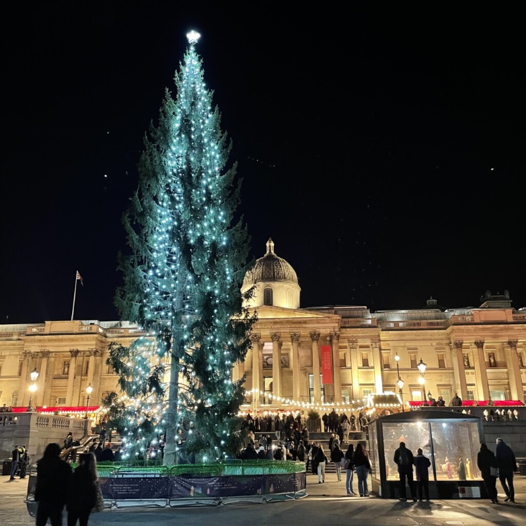 トラファルガースクエアのクリスマスツリー