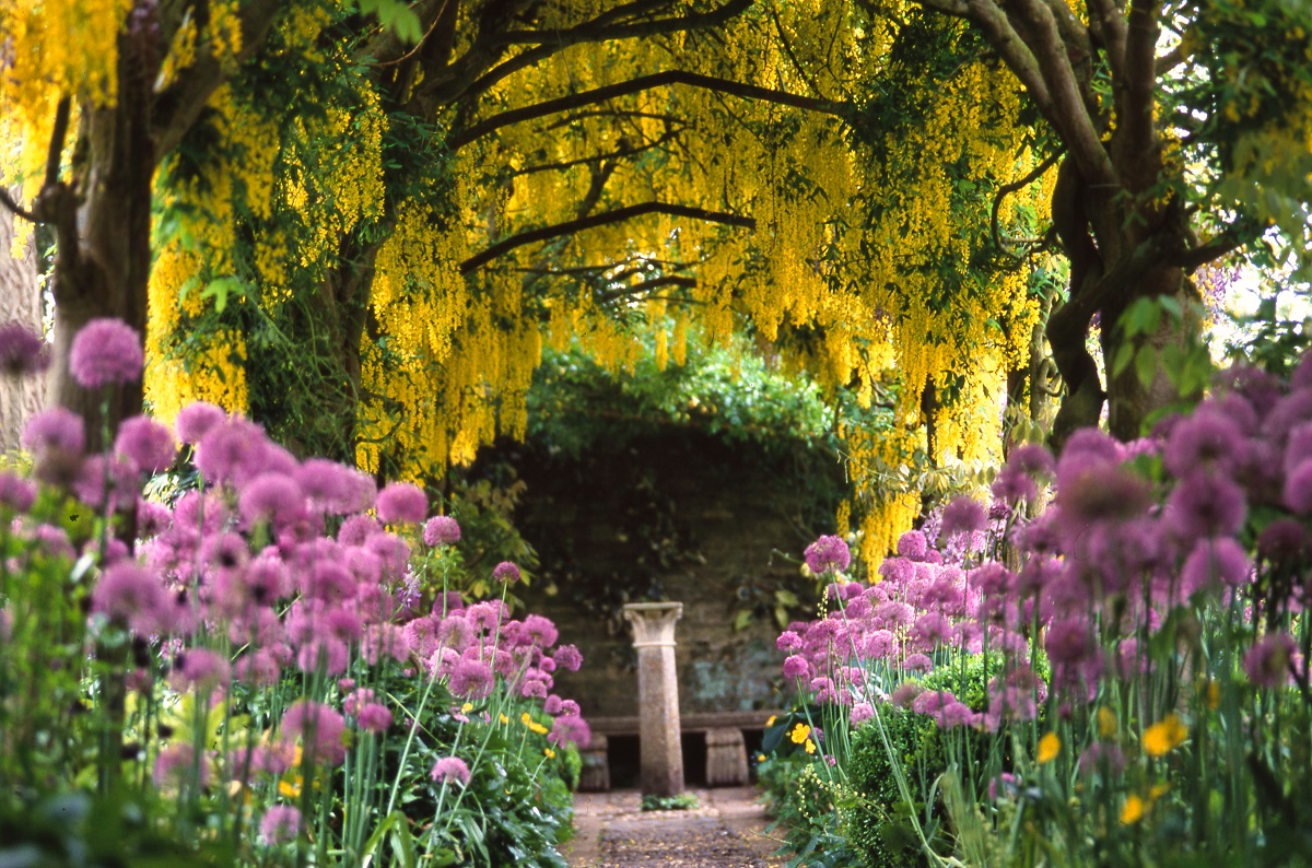 写真で巡るイギリスの旅 コッツウォルズに花開くイングリッシュガーデン