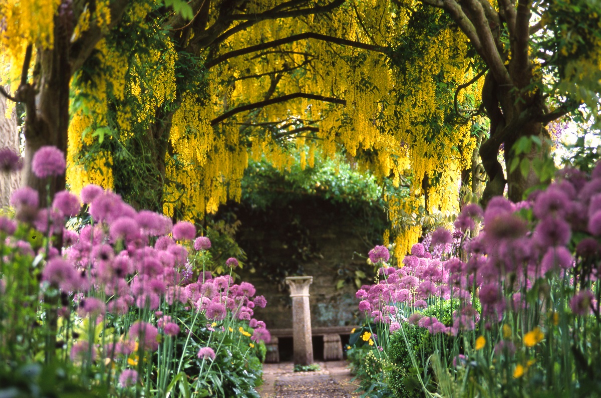 写真で巡るイギリスの旅～コッツウォルズに花開くイングリッシュガーデン～