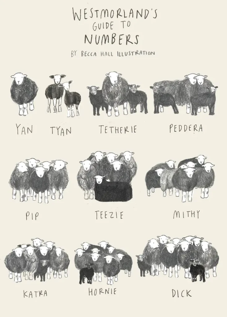 カンブリアンが使うケルト語の数字の数え方を羊のイラストで表す資料