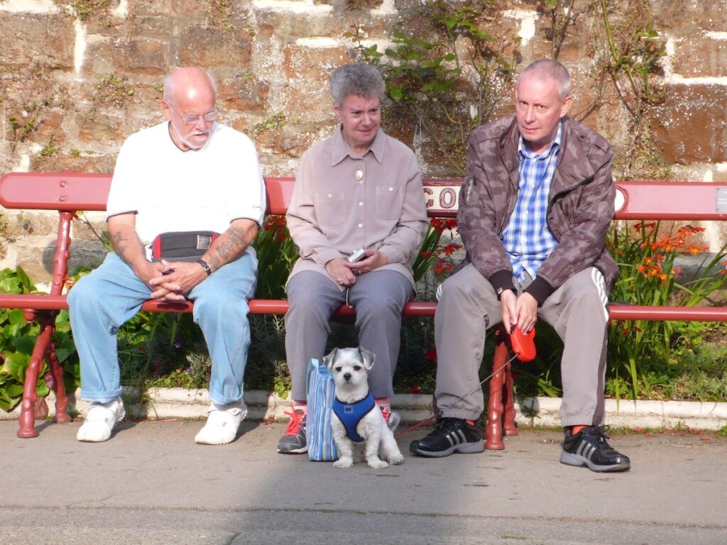 ローカル鉄道の駅のベンチで列車を待つ男性と犬