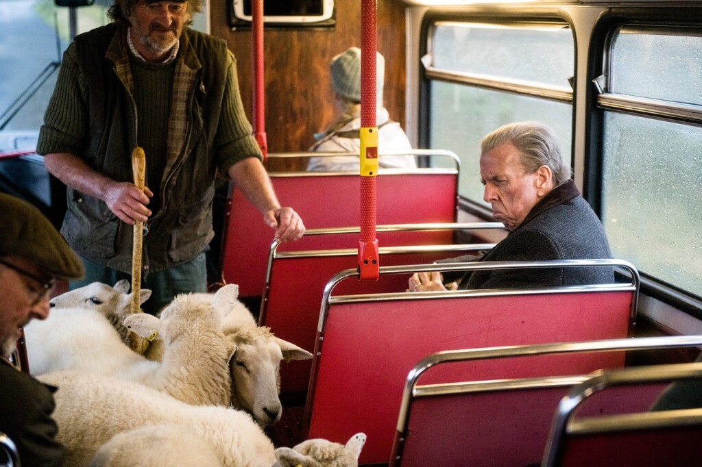 バスに乗り込む羊に驚くトム