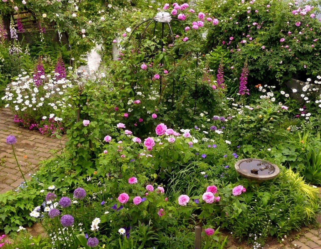 ハウスオブポタリーの庭に咲く花々
