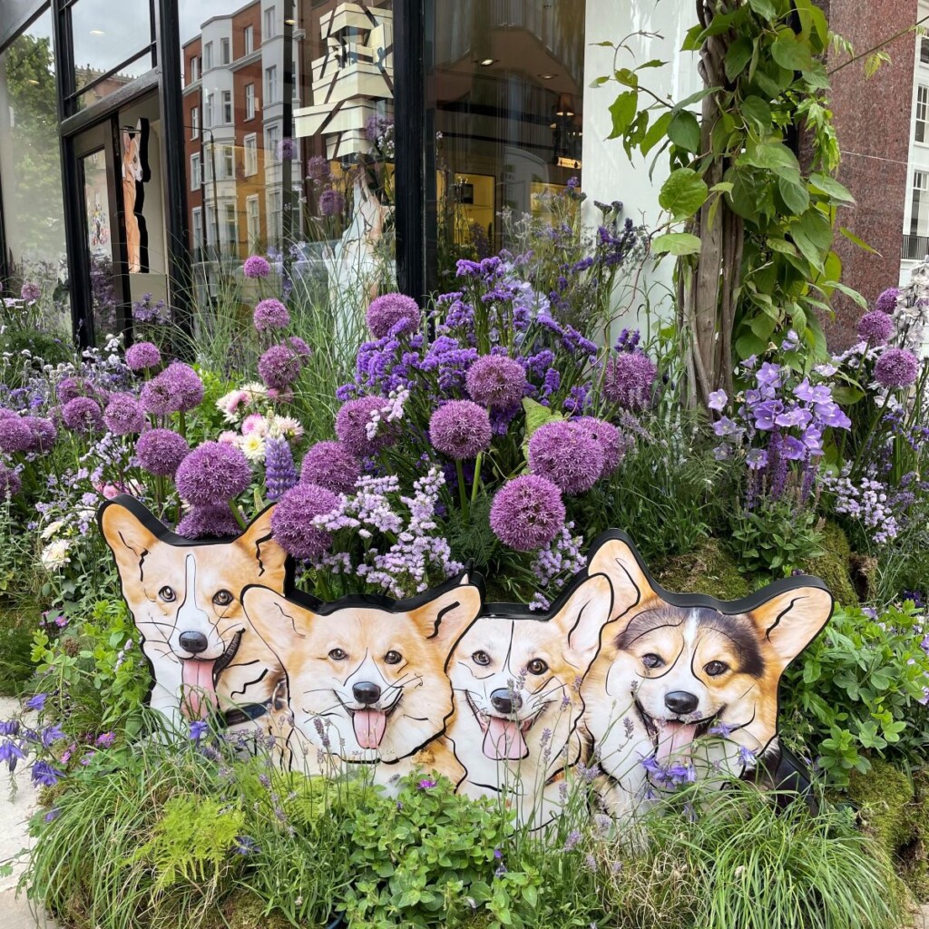チェルシーフラワーショー開催時のジョー・マローンの飾りつけ、4匹の犬のモチーフの後ろに紫の花が咲くショップ玄関