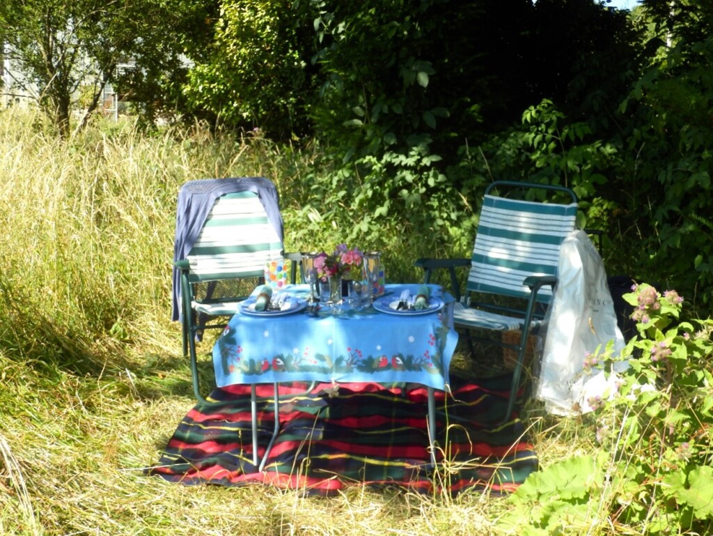 緑の中にピクニックのセッティングされたテーブルと2脚の椅子