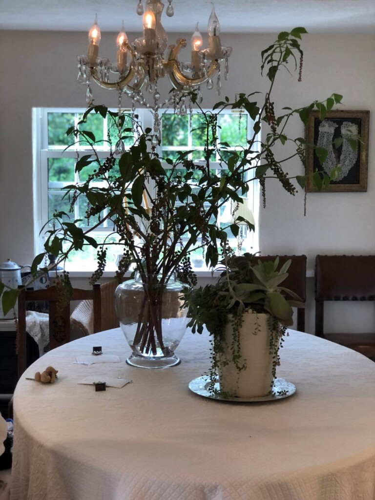 シャンデリアがかかったダイニングルームのテーブルには植物が飾られていた