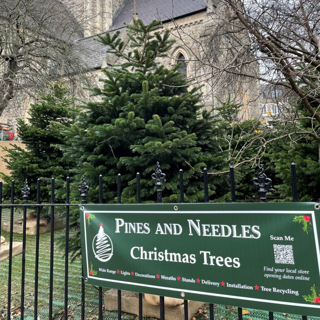 教会のクリスマスツリー売り場
