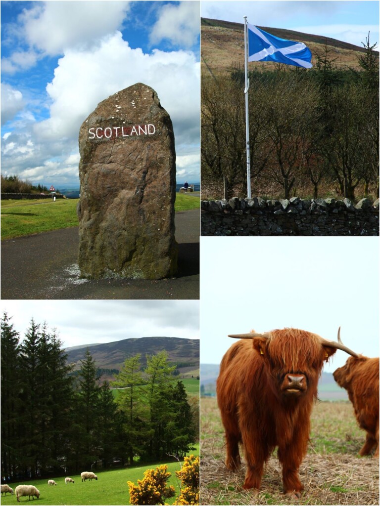 スコットランドの旅で出会った風景や動物たち