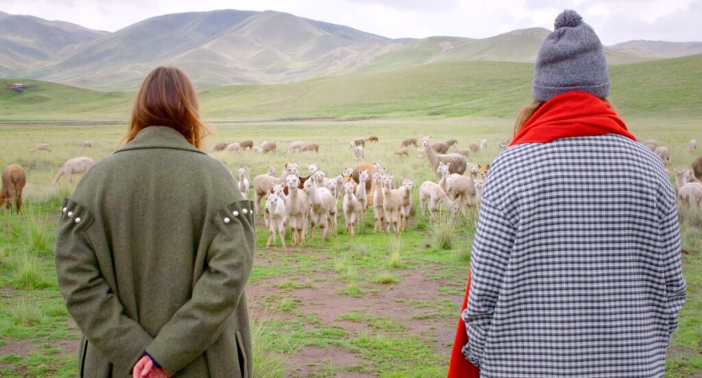 ペルーで放牧されるラマの群れを前にするエイミーとクロエ