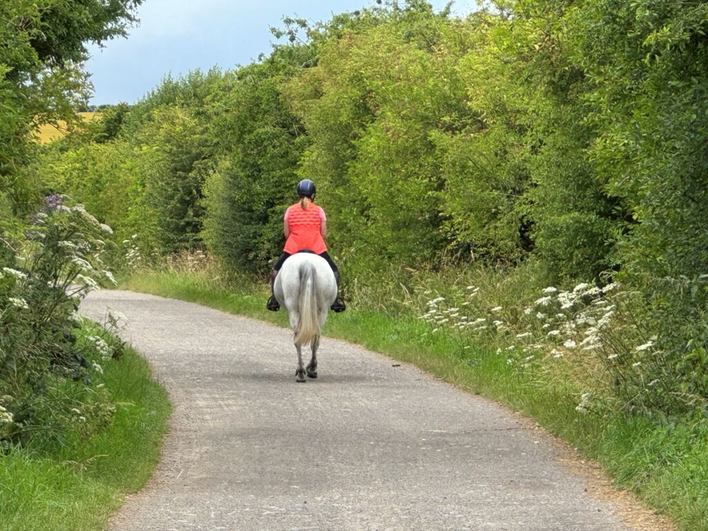 白い馬にのって木々に囲まれた田舎道を進む風景