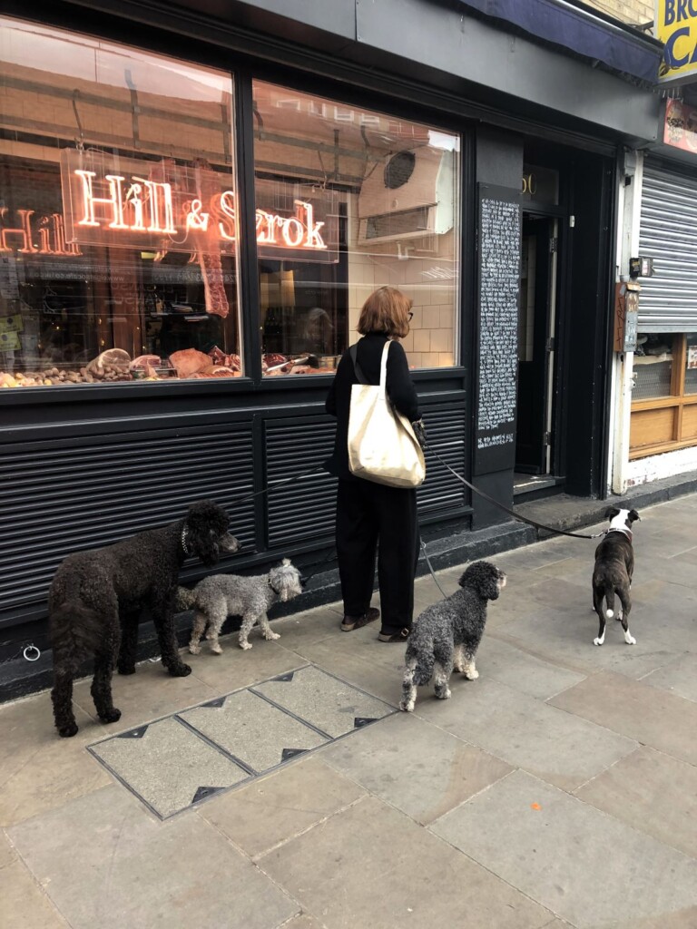 ４匹の犬を連れてロンドンの街中を歩く女性