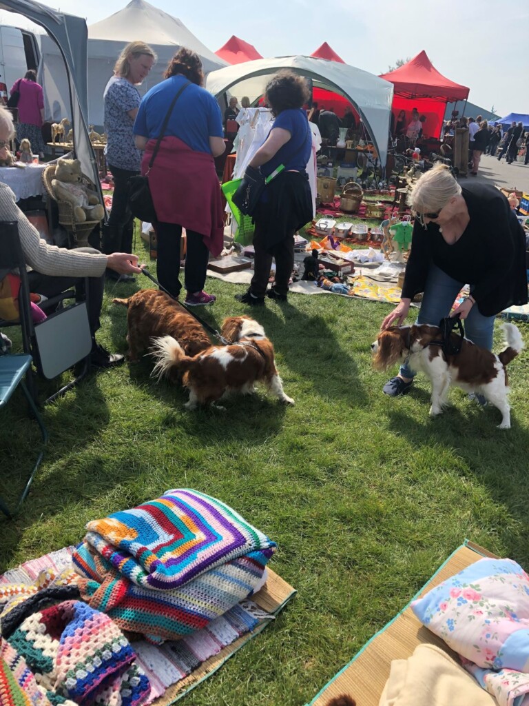 犬を連れてフリーマーケットを訪れるイギリス人