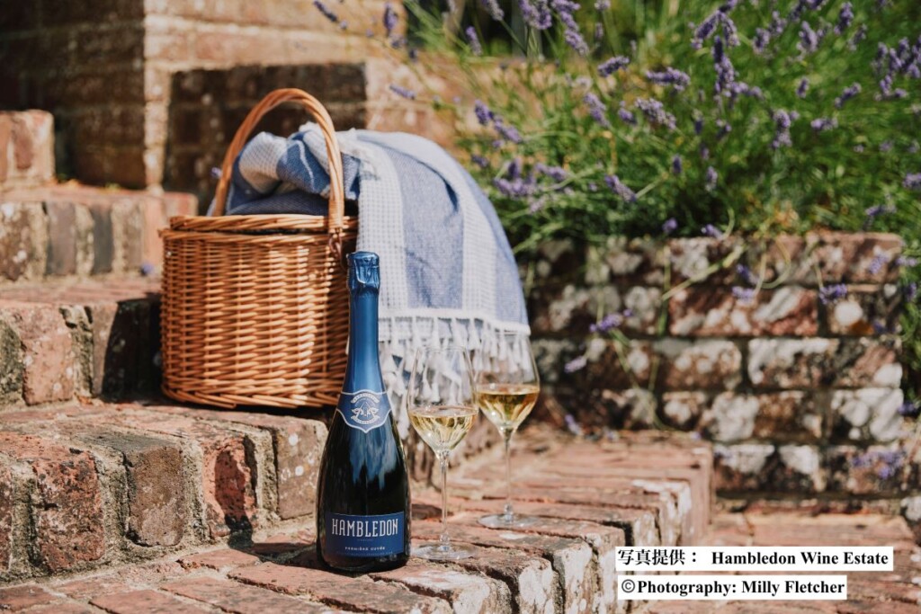 ハンブルドン・ワイン・エステート（Hambledon Wine Estate）