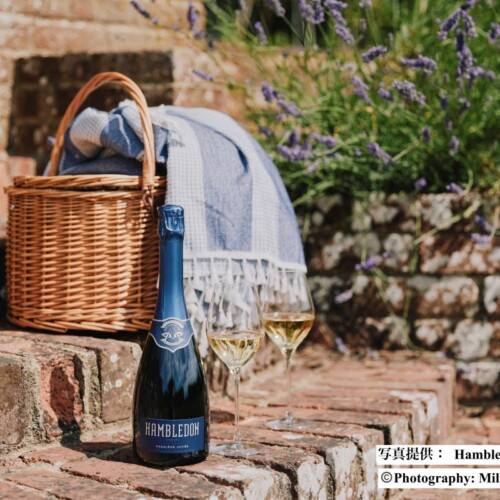 ハンブルドン・ワイン・エステート（Hambledon Wine Estate）