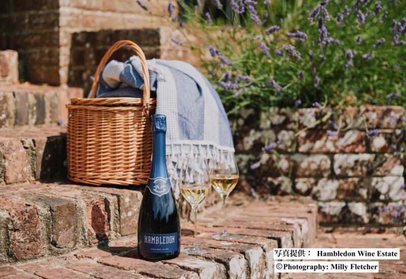 ハンブルドン・ワイン・エステート（Hambledon Wine Estate）